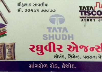 RAGHUVIR AGENCY