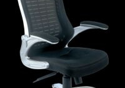 Shree Umiya Timbars And Furniture