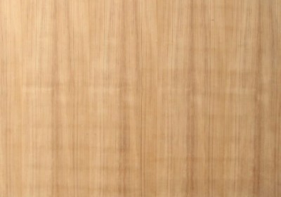 SHUBH PLYWOOD