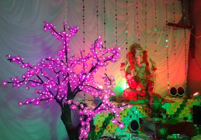 Jay Bholenath Light Decoration